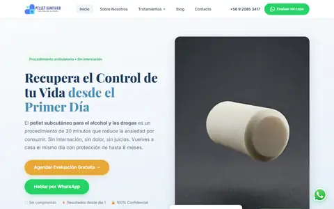 Portada de pelletsantiago.cl
